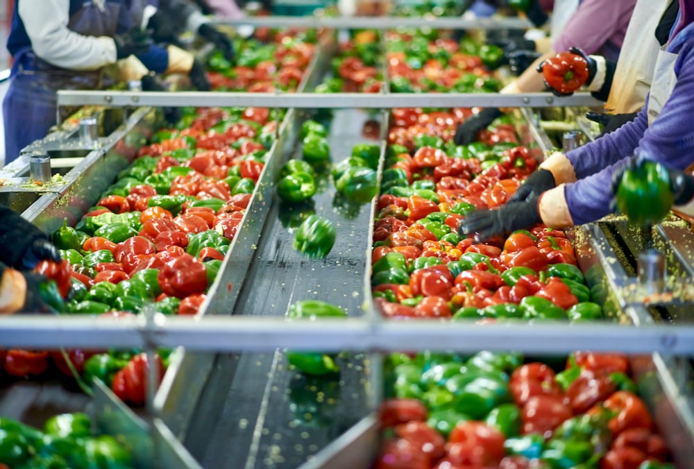 Промени в еднодневните договори: облекчаване на земеделските производители и изсветляване на икономиката Промени в еднодневните договори: облекчаване на земеделските производители и изсветляване на икономиката